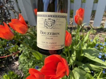 Bouzeron Louis Jadot 2019